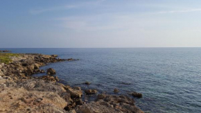 Casavale